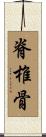 脊椎骨 Scroll