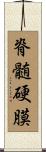 脊髄硬膜 Scroll