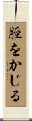 脛をかじる Scroll