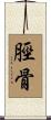 脛骨 Scroll