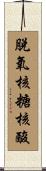脫氧核糖核酸 Scroll