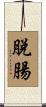 脫腸 Scroll
