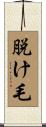 脱け毛 Scroll
