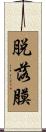 脱落膜 Scroll