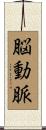 脳動脈 Scroll