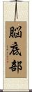 脳底部 Scroll