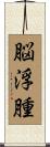 脳浮腫 Scroll