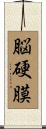 脳硬膜 Scroll