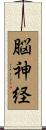 脳神経 Scroll