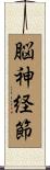 脳神経節 Scroll