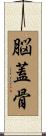 脳蓋骨 Scroll