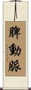 脾動脈 Scroll