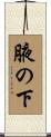 腋の下 Scroll