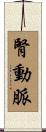 腎動脈 Scroll