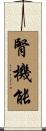 腎機能 Scroll