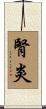 腎炎 Scroll