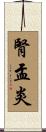 腎盂炎 Scroll