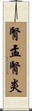 腎盂腎炎 Scroll