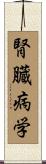 腎臓病学 Scroll