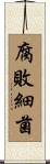 腐敗細菌 Scroll