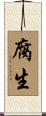 腐生 Scroll