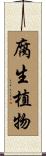 腐生植物 Scroll