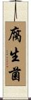 腐生菌 Scroll