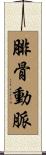 腓骨動脈 Scroll
