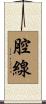 腔線 Scroll