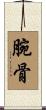 腕骨 Scroll