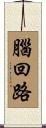 腦回路 Scroll