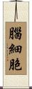 腦細胞 Scroll