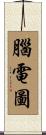 腦電圖 Scroll