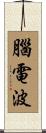 腦電波 Scroll