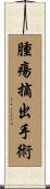 腫瘍摘出手術 Scroll