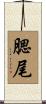 腮尾 Scroll