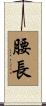 腰長 Scroll