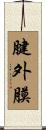 腱外膜 Scroll