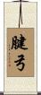 腱弓 Scroll