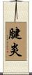 腱炎 Scroll