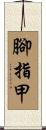 腳指甲 Scroll
