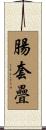 腸套疊 Scroll