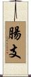 腸支 Scroll
