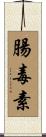 腸毒素 Scroll