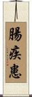 腸疾患 Scroll
