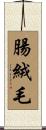 腸絨毛 Scroll