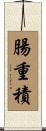 腸重積 Scroll