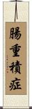 腸重積症 Scroll