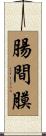 腸間膜 Scroll
