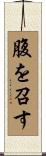 腹を召す Scroll